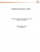 Orçamento Empresarial – Uma Abordagem Conceitual e Metodológica