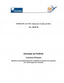 Benefícios da Atividade física para o Aparelho Locomotor dos pacientes