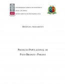 PROJEÇÃO POPULACIONAL DE PATO BRANCO - PARANÁ