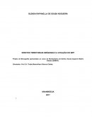 RACISMO AMBIENTAL DE ESTADO E POPULAÇÕES, POVOS E COMUNIDADES TRADICIONAIS DE ANANINDEUA: EFETIVIDADE JURÍDICO-POLÍTICA DOS SEUS DIREITOS SOCIAIS E COLETIVOS