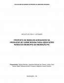 PROJETO EXTENSÃO: PROPOSTA DE MANEJOS ADEQUADOS NA PRODUÇÃO DE CARNE BOVINA PARA ASSOCIAÇÕES RURAIS