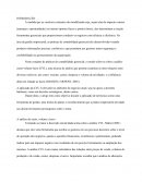 Artigo Margem de Contribuição e Segurança