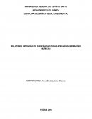 RELATÓRIO OBTENÇÃO DE SUBSTÂNCIAS PURAS ATRAVÉS DAS REAÇÕES QUÍMICAS