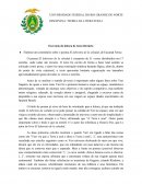 Comentário el laberinto de la soledad