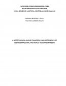 A IMPORTÂNCIA DA ANÁLISE FINANCEIRA COMO INSTRUMENTO DE GESTÃO EMPRESARIAL NAS MICRO E PEQUENAS EMPRESAS