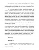 Análise de um ambiente específico e particular