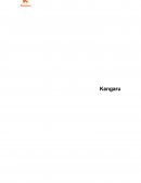 Documento de Requisitos Projeto Kangaru