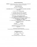 A Neuro anatomofisiologia