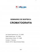 PRINCÍPIOS BÁSICOS DE CROMATOGRAFIA