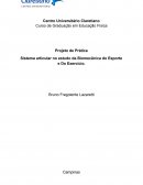 Sistema Articular no estudo da Biomecânica do Esporte e Do Exercício