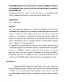 INVESTIMENTO PARA INSTALAÇÃO DE UMA UNIDADE DE BENEFICIAMENTO DE CASCAS DE COCO VERDE NO DISTRITO DE BAIXO QUARTEL, MUNICÍPIO DE LINHARES - ES.