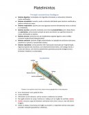 As Principais características fisiológicas