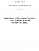 A ANÁLISE DOS FENÔMENOS LINGUÍSTICOS NA OBRA DE ARIANO SUASSUNA : O AUTO DA COMPADECIDA