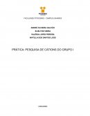 PRÁTICA: PESQUISA DE CÁTIONS DO GRUPO I LINHARES