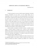 A IMPORTÂNCIA DOS CRÉDITOS DE CARBONO PARA A CONTABILIDADE AMBIENTAL E COMO UTILIZÁ-LOS - FRANK