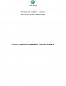 PRÁTICAS PEDAGÓGICAS: CIDADANIA E EDUCAÇÃO AMBIENTAL