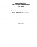 Modelo Prointer IV - Relatório Parcial