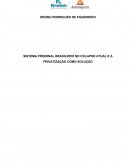 SISTEMA PRISIONAL BRASILEIRO NO COLAPSO ATUAL E A PRIVATIZAÇÃO COMO SOLUÇÃO