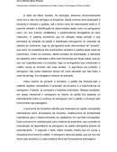 Sistema de Aviamentos com base no texto: Os Seringaes, de Mario Guedes