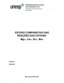 ESTUDO COMPARATIVO DAS REAÇÕES DOS CÁTIONS: Mg2+, Ca2+, Sr2+, Ba2+