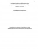 QUAL A IMPORTÂNCIA DA BRINQUEDOTECA ESCOLAR COMO INSTRUMENTO PEGAGOGICO NO PROCESSO DE APRENDIZAGEM DA CRIANÇA?