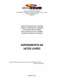 O EXPERIMENTO DE JATOS LIVRES