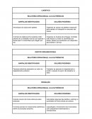 RELATÓRIO OPERACIONAL LUA ELETRÔNICOS