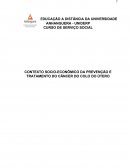 CONTEXTO SÓCIO-ECONÔMICO DA PREVENÇÃO E TRATAMENTO DO CÂNCER DO COLO DO ÚTERO