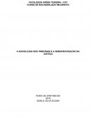 A SOCIOLOGIA DOS TRIBUNAIS E A DEMOCRATIZAÇÃO DA JUSTIÇA