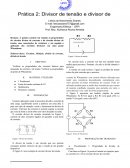 Relatório Circuitos Elétricos