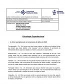 Psicologoa Organizacional