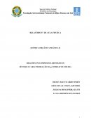 SÍNTESE E CARACTERIZAÇÃO DA p-NITROACETANILIDA