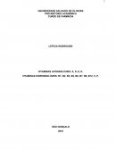 Vitaminas Lipossolúveis e Hidrossolúveis