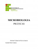 A Microbiologia