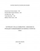 Eletrólise e Célula Combustível: Viabilidade da Produção e Armazenamento de Energia a partir da Água