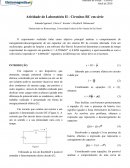 Relatório circuito RC eletromagnetismo UFRGS