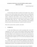 ANÁLISE DE CONJUNTURA: SITUAÇÃO POLÍTICA EGÍPCIA APÓS A PRIMAVERA ÁRABE