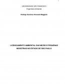 LICENCIAMENTO AMBIENTAL DAS MICRO E PEQUENAS INDÚSTRIAS NO ESTADO DE SÃO PAULO