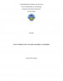 Resenha: Os povos indígenas sobre a percepção arqueológica e antropológica