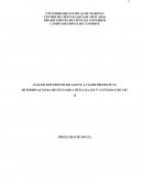 ANÁLISE DOS EFEITOS DO AJUSTE A VALOR PRESENTE NA DETERMINAÇÃO DA RECEITA SOB A ÓTICA DA LEI Nº 12.973/2014 E DO CPC 12