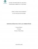 Sistemas Eólicos e células combustíveis