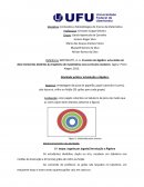 O Ensino de álgebra: uma visão em dois momentos distintos da trajetória de matemática nos currículos escolares