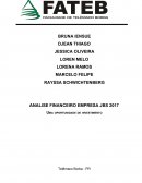 ANALISE FINANCEIRO EMPRESA JBS 2017