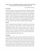 Violência de Gênero e Interseccionalidades na Mídia: Mulher Negra