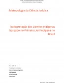 Interpretação dos Direitos Indígenas baseado no Primeiro Juri Indígena no Brasil