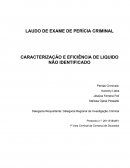 LAUDO DE EXAME DE PERÍCIA CRIMINAL