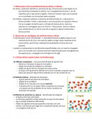 As Diferenças entre imunofluorescência direta e indireta