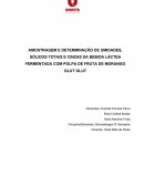 AMOSTRAGEM E DETERMINAÇÃO DE UMIDADES, SÓLIDOS TOTAIS E CINZAS DA BEBIDA LÁCTEA FERMENTADA COM POLPA DE FRUTA DE MORANGO GLUT GLUT