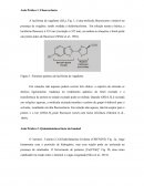 A Estrutura química da luciferina de vagalume