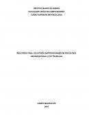 RELATÓRIO FINAL DE ESTÁGIO SUPERVISIONADO EM PSICOLOGIA ORGANIZACIONAL E DO TRABALHO